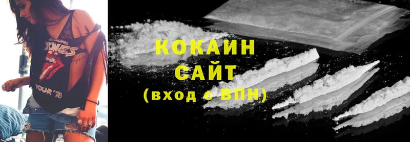 mega ТОР  Камешково  Cocaine Fish Scale  как найти наркотики 